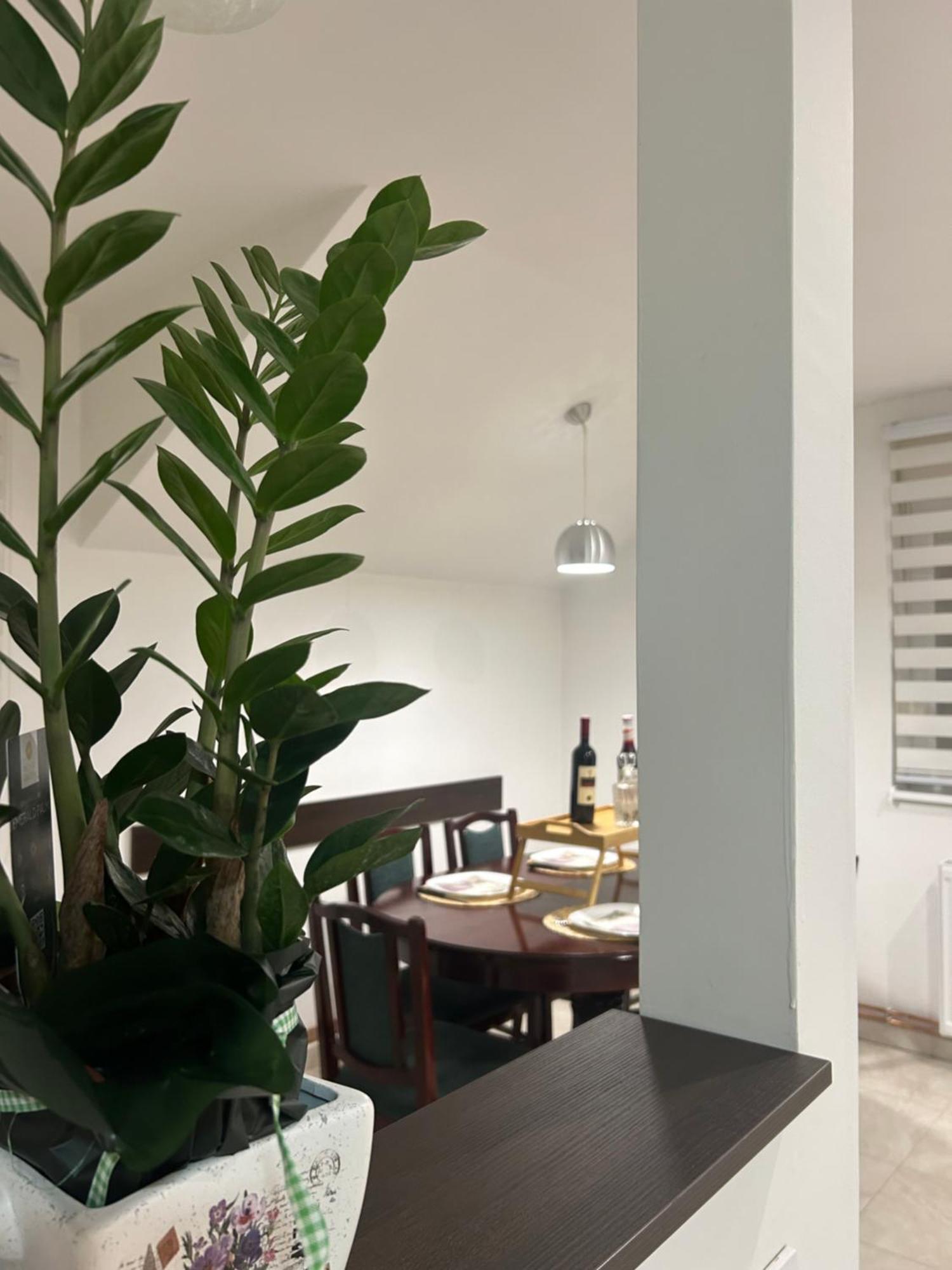 Apartman Diamond Lux Surcin Bagian luar foto