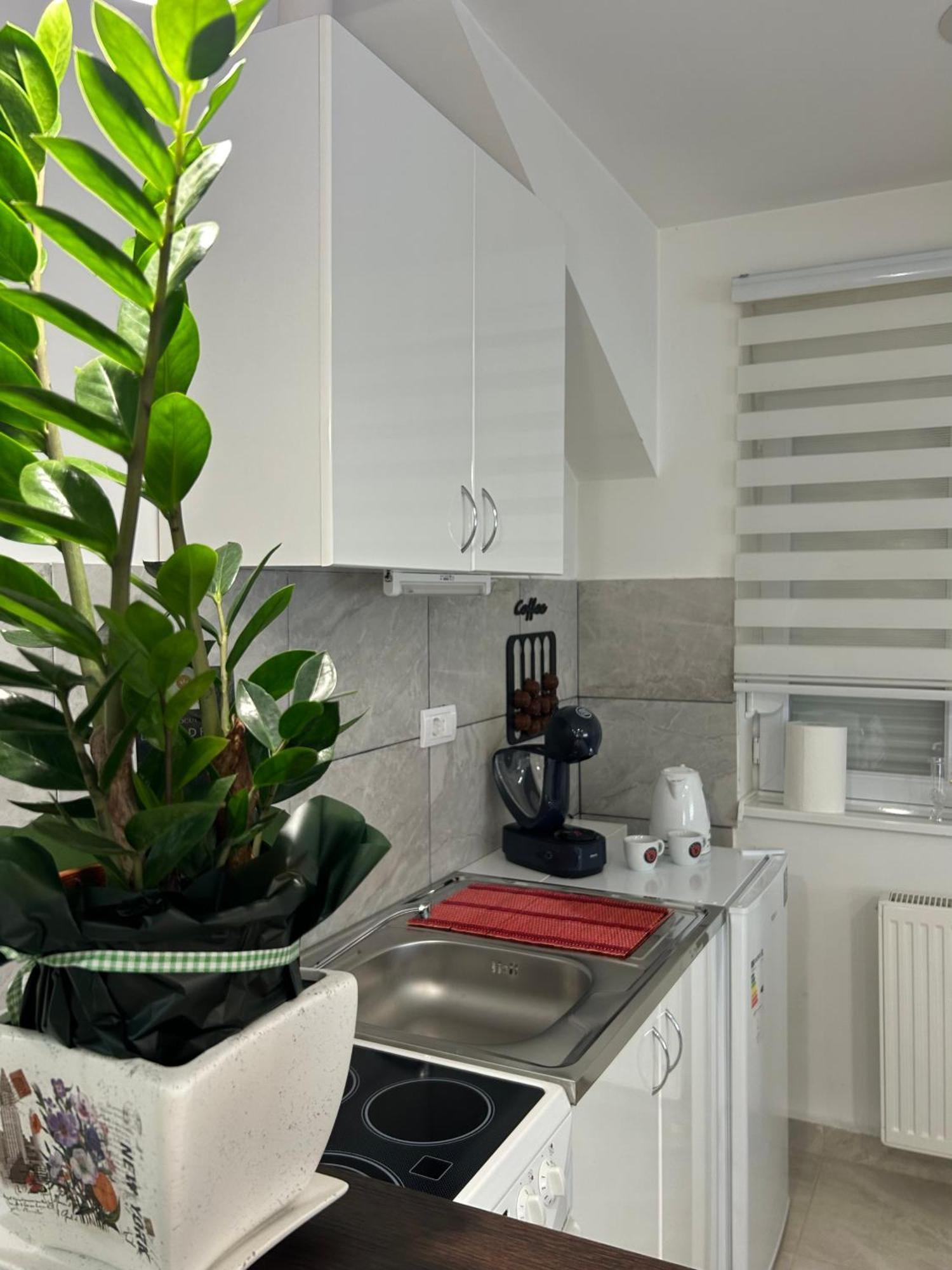 Apartman Diamond Lux Surcin Bagian luar foto